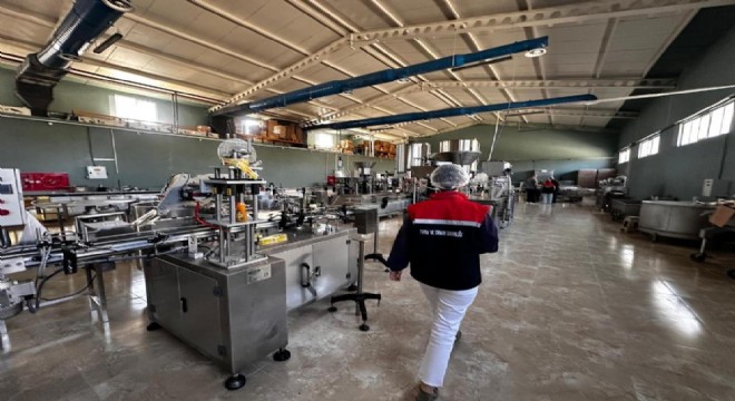 254 gıda işletmesi denetlendi