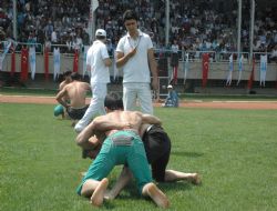 294 pehlivan er meydanına çıktı
