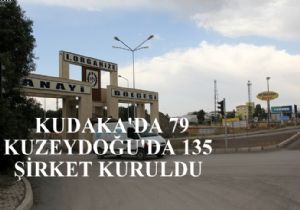 Birikimli şirket verileri açıklandı