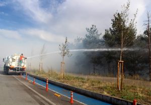 300 ağaç zarar gördü