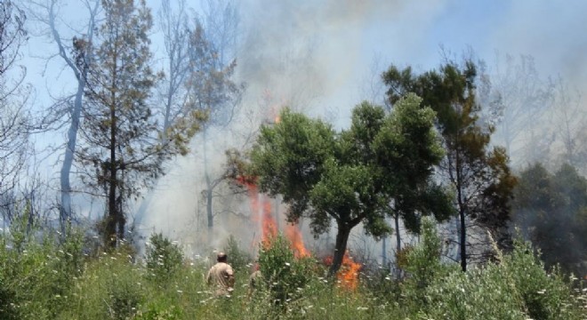 31 Ekim'e kadar ormanlara girişler yasaklandı
