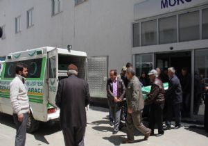 Tüyler ürperten iddia