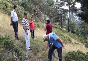 Ormancılıkta asayiş istişaresi