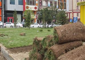 Büyükşehir'den yeşil seferberlik