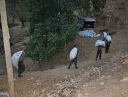 3 ton esrar ele geçirildi