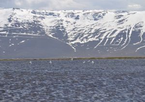 Doğu'da arttı, Erzurum'da azaldı