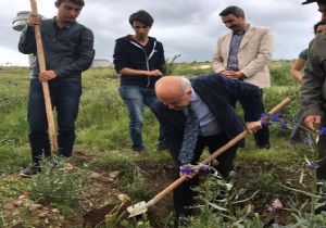 Yeşil Palandöken hedefine liselilerden destek