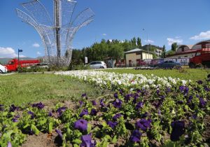 Erzurum'a 500 bin çiçek fidesi dikildi
