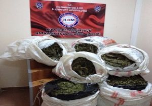 52 kilo esrar ele geçirildi