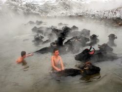 Olcay Türkiye 3'ncüsü oldu 