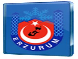 İddialara makaleli cevap