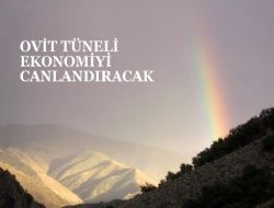 Ulaştırmada Ovit sinerjisi