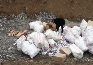 70 bin paket kaçak sigara imha edildi