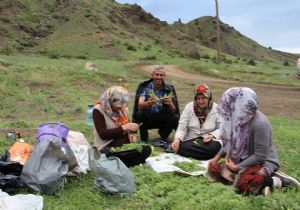 Oltu'da çaşır zamanı