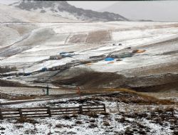 7 dağa, bir bağa…