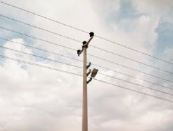 Karayazı'da iş kazası: 1 ölü