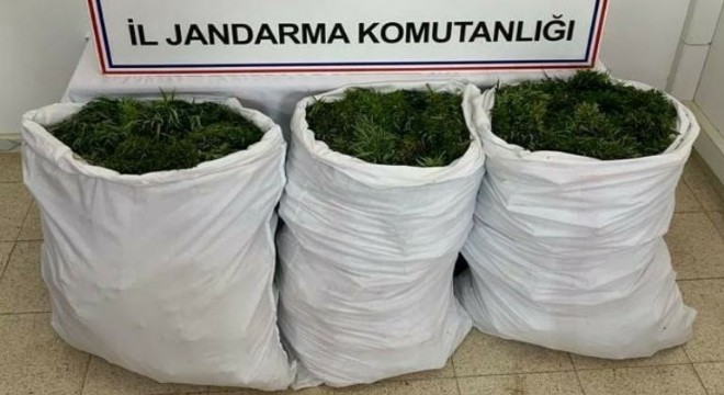 84 kilogram esrar ele geçirildi