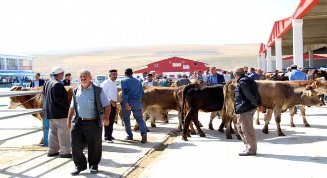 Akpunar kurbanlık fiyatlarını değerlendirdi