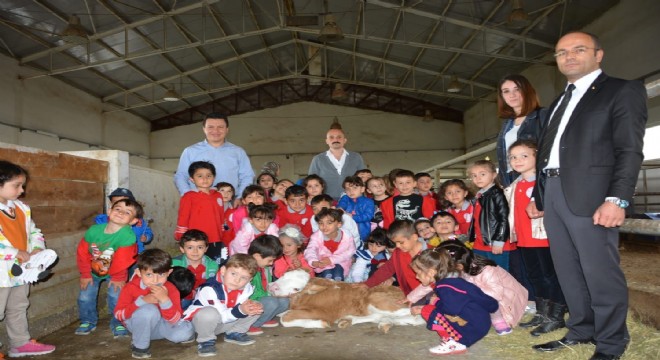 Aşkale'de süt şenliği