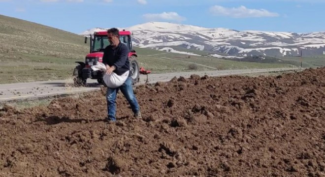 Aşkale'de tohum toprak ile buluştu