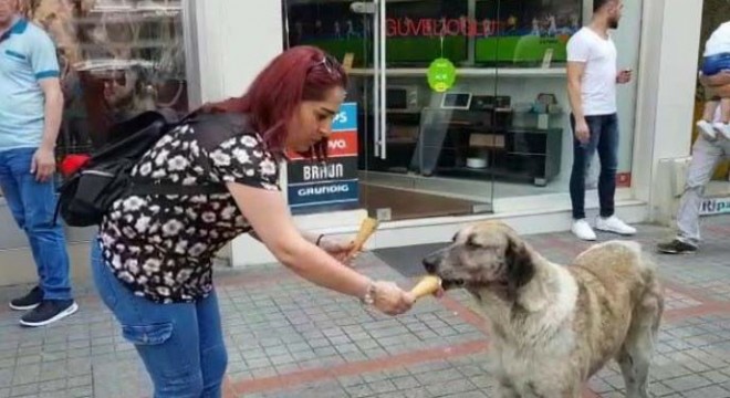 Aşkale'den ilgi çekici görüntü