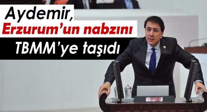 Aydemir, Erzurum'un nabzını TBMM'ye taşıdı