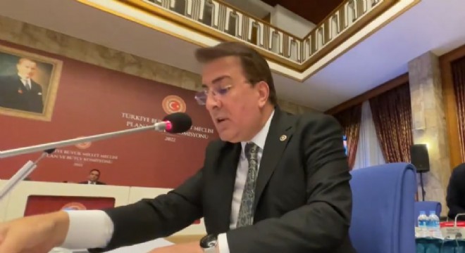 Aydemir: ‘Her rengimizle çok büyük bir milletiz'