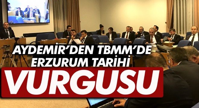 Aydemir'den TBMM'de Erzurum Tarihi vurgusu