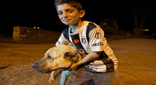 Çoban köpeği hayat kurtardı