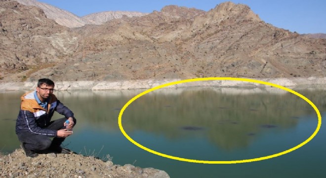 Ayvalı Barajı'nda ilgi çeken görüntü