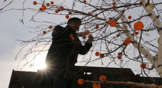 Aziziye'de Osmanlı geleneği yaşatılıyor