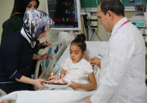BEAH'ta Yeniden doğuş'a kutlama