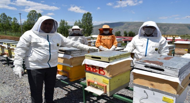 Başkan Sekmen Bal Ormanı'nı ziyaret etti