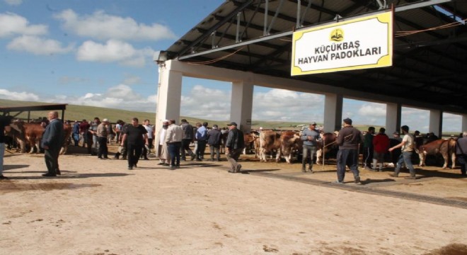 Bayburt'taki hayvan pazarlarında şap karantinası