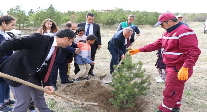 Bereket Ormanı yeni fidanlarla “ bereketlendi”