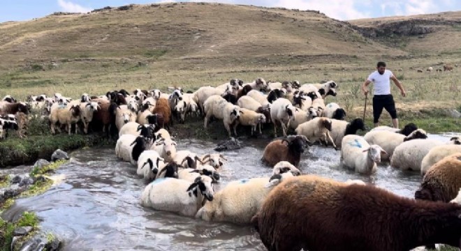 Besicilerden sıcakla mücadele