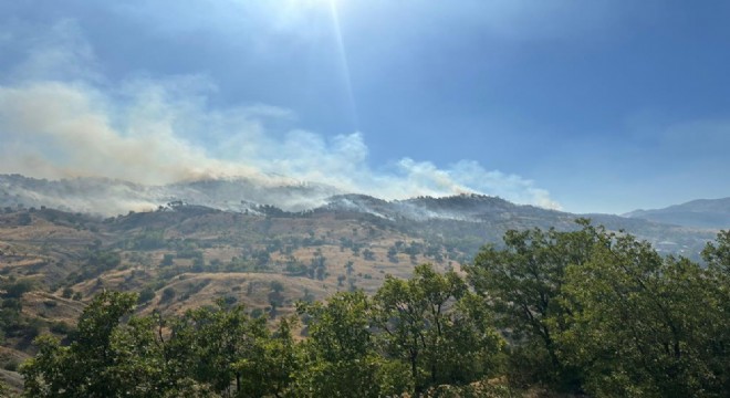 Bingöl'deki orman yangını kontrol altına alındı