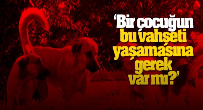 Bir çocuğun bu vahşeti yaşamasına gerek var mı?