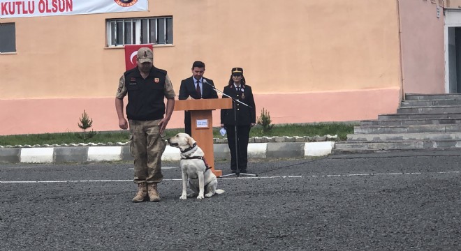 Bomba uzmanı köpeklerin gösterisi beğeni kazandı