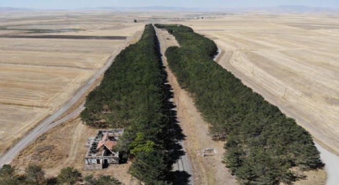 Bozkırın ortasındaki ‘vaha' büyülüyor