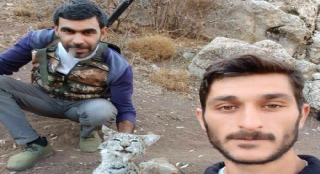 Bunun adı vahşet