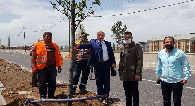 Büyükşehir'den Erzurum'a yemyeşil yatırım