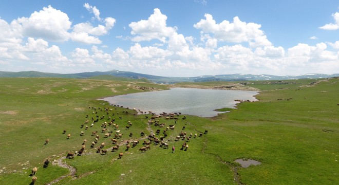 Büyükşehir'den Gölet Rekoru