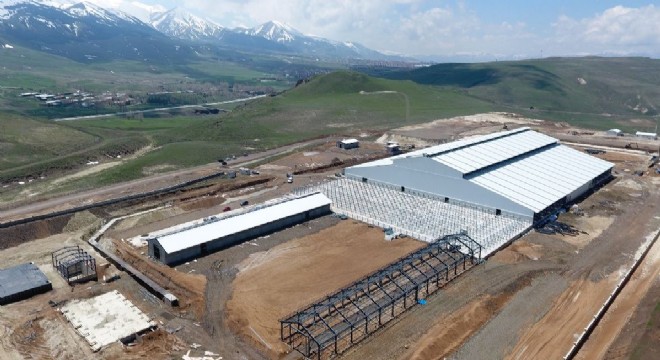 Canlı Hayvan Borsası'nda geri sayım