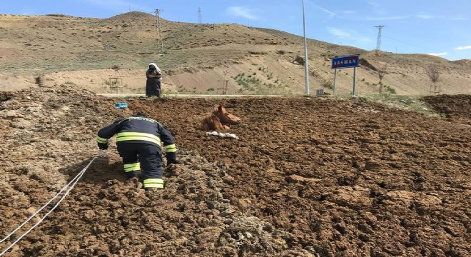 Çaresiz atı İtfaiye ekipleri kurtardı