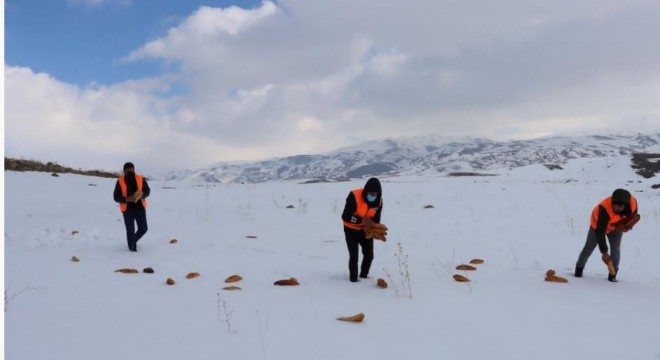 Çat Belediyesi'nden yaban hayatına destek