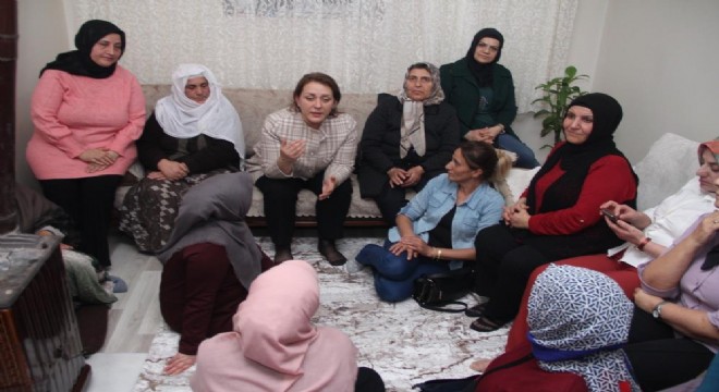 Çelik'ten çat kapı ev ziyaretleri