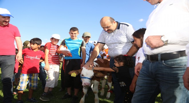Çermik Festivalinde yarışma heyecanı