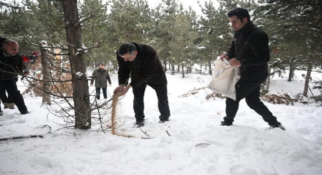 Çiftçi'den yaban yaşamına destek