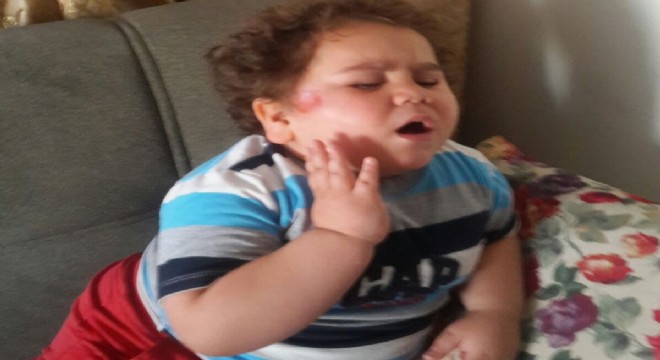 Çitos Efe'yi Allah korudu